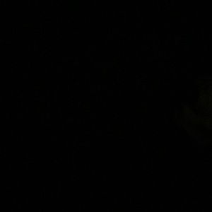 Meet your Posher, Raniya